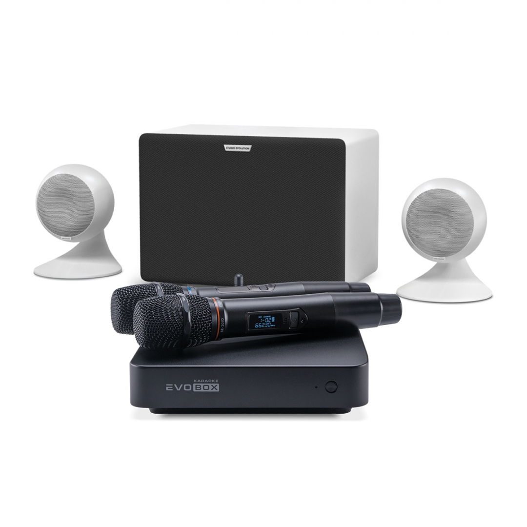 караоке-комплект EVOBOX Classic + EvoSound Sphere 2.1 в Зеленограде