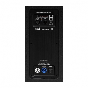 Активная акустическая система AST-310A в Зеленограде