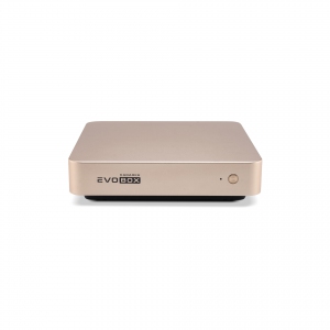 EVOBOX с микрофонами в Зеленограде